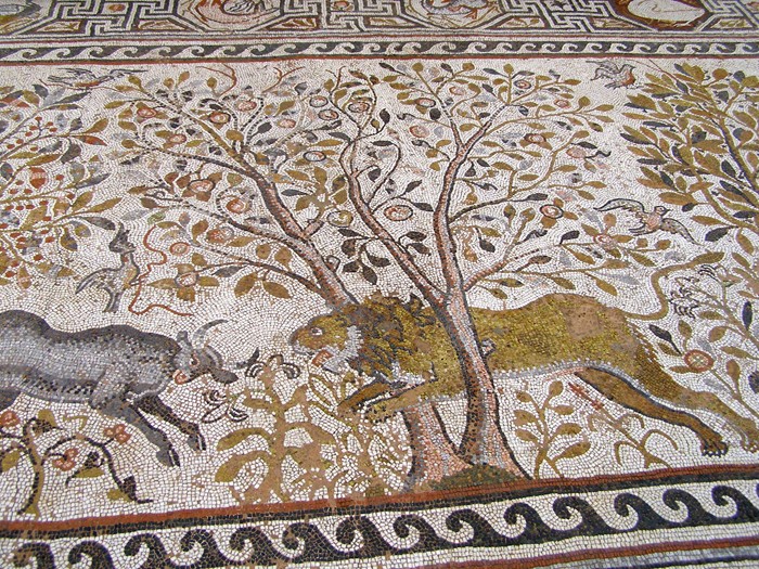 Heraklea Mosaik Lwe